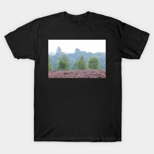 Heathland, morning mist, heather bloom, Niederhaverbeck T-Shirt